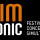 Logo Festival Simfonic